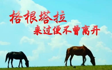 &#31859;&#20848;&#31449;&#32593;&#39029;&#29256;&#45;&#31859;&#20848;&#40;&#20013;&#22269;&#41;