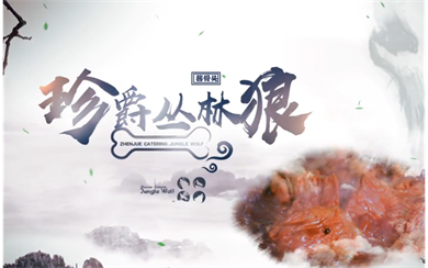 &#31859;&#20848;&#31449;&#32593;&#39029;&#29256;&#45;&#31859;&#20848;&#40;&#20013;&#22269;&#41;