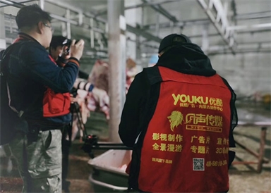 &#31859;&#20848;&#31449;&#32593;&#39029;&#29256;&#45;&#31859;&#20848;&#40;&#20013;&#22269;&#41;